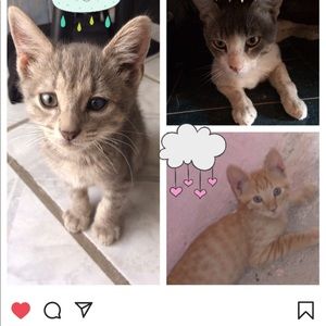 Meet your Posher, Ana